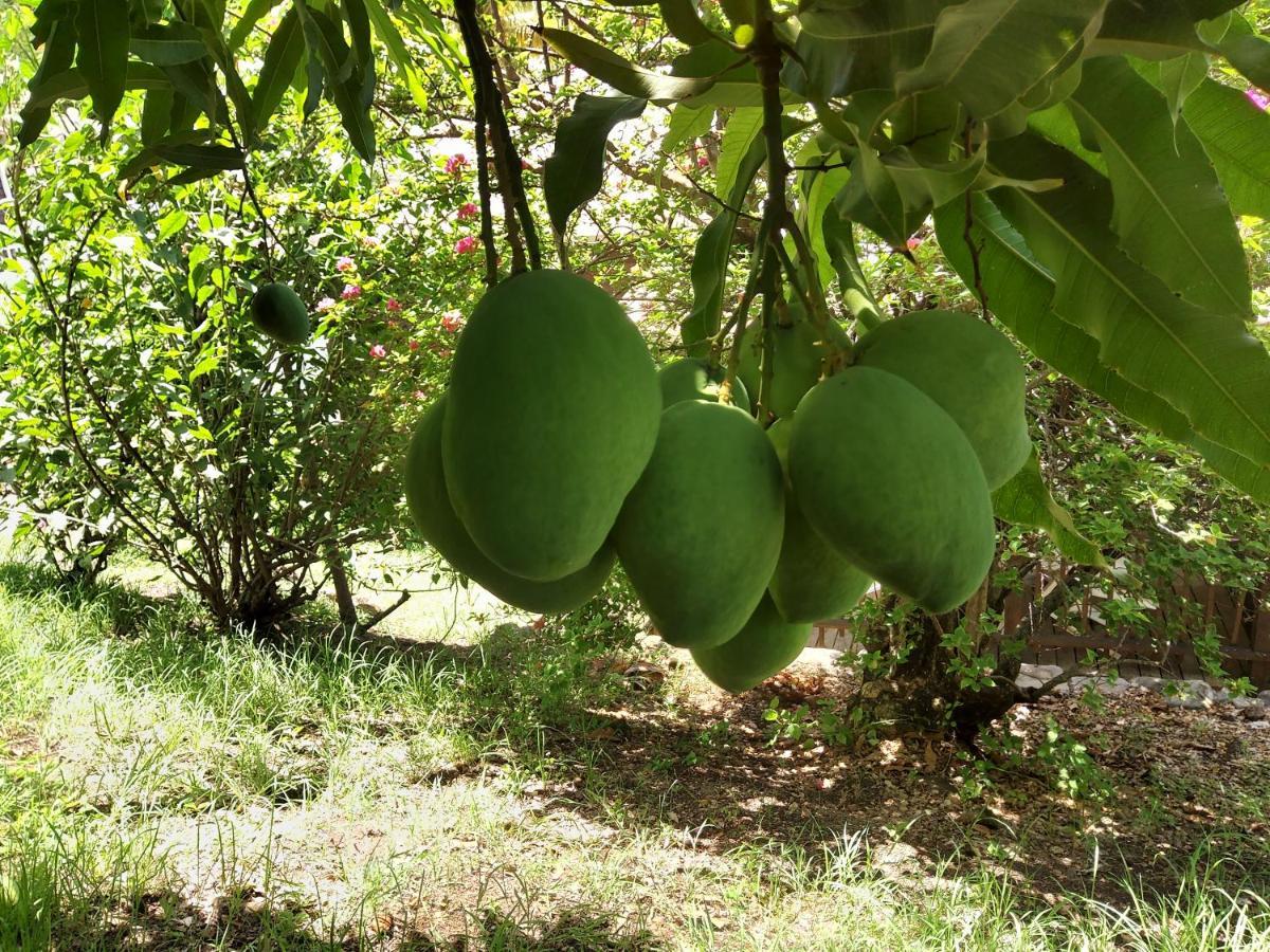 Hébergement de vacances Les Du Domaine De Petite-anse *